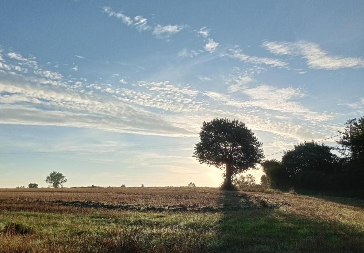 Au Mont & Merveilles Sartilly-Baie-Bocage Buitenkant foto